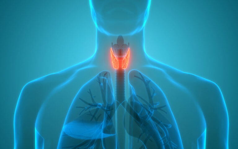 Navigating Thyroid Disorders: Understanding Thyroid Gland Examination