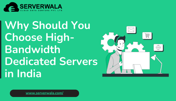 Why Should You Choose High-Bandwidth Dedicated Servers in India?