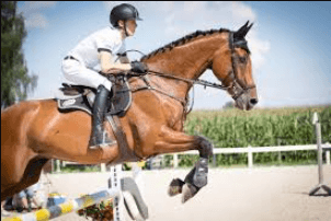 The Art of Horse Riding Commentary: A Comprehensive Guide