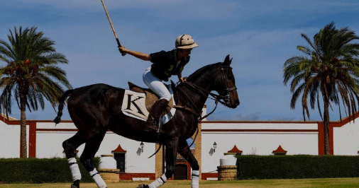 Unveiling the World of Polo A Comprehensive Guide to Equestrian Elegance