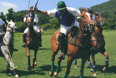 The Ultimate Guide to Polo Unraveling the Elegance and Excitement