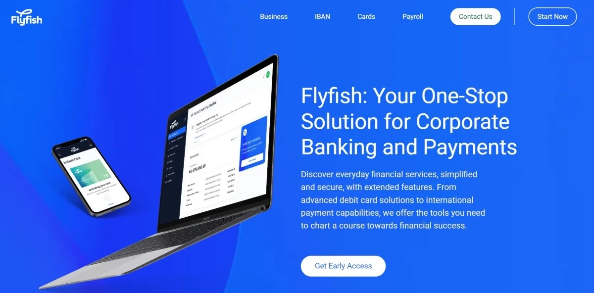 Flyfish Review – Optimize Business Expenses With a Financial Management System