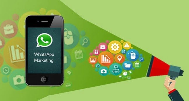 How Can One Generate Insightful Reports by Utilizing WhatsApp Marketing Data Analysis Tools