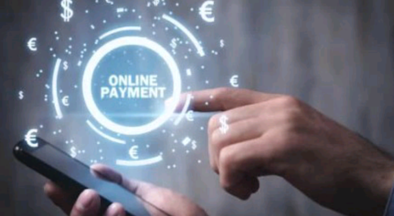 The Evolution of Online Payments: A Seamless Digital Transaction Experience
