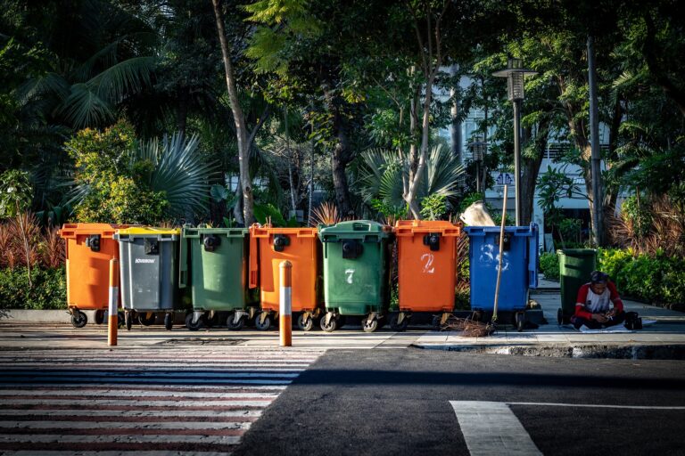 How Waste Management Systems Reduce Pollution?