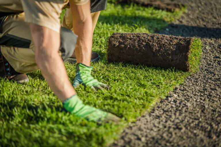 The Ultimate Guide to Lawn Turfs: Tips for Laying Turf and Effective Maintenance