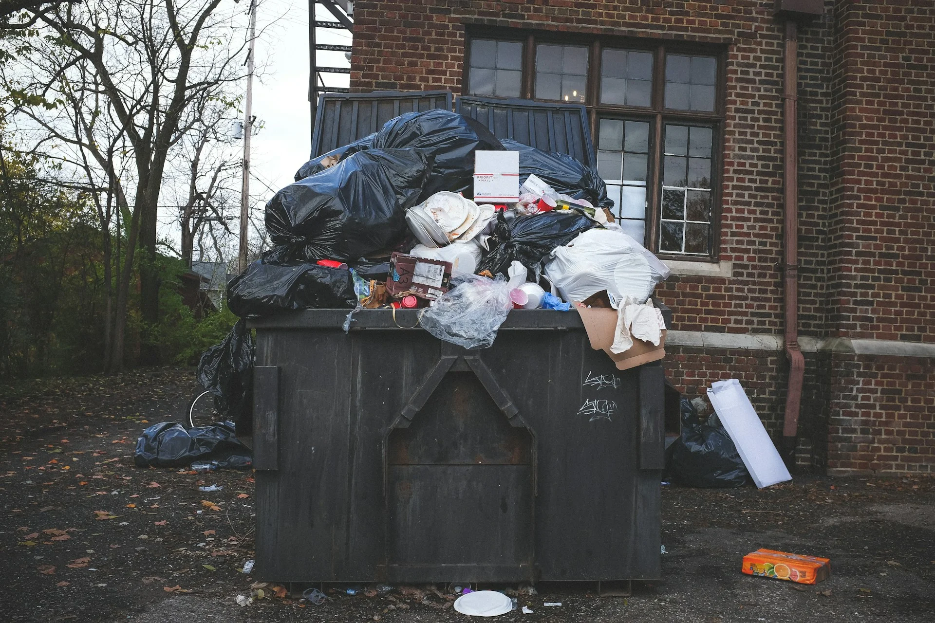 What Are Your Options to Dispose of Unwanted Trash