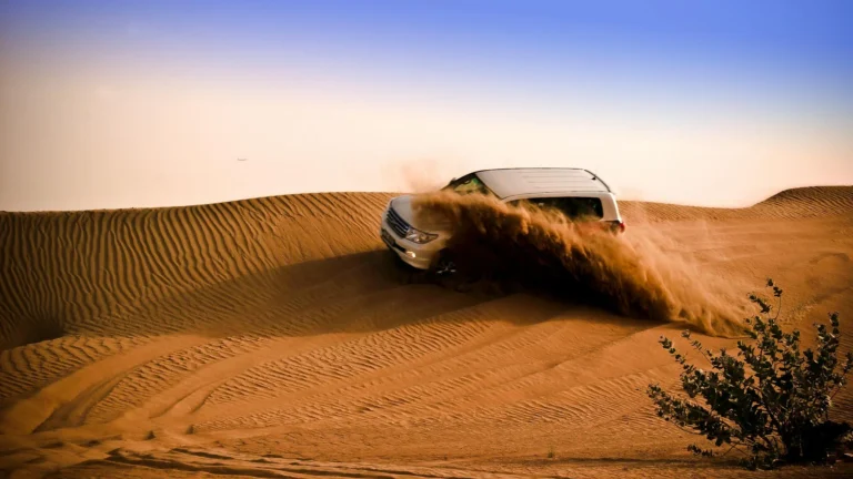 A Broader View: Desert Safari Thrills in Dubai