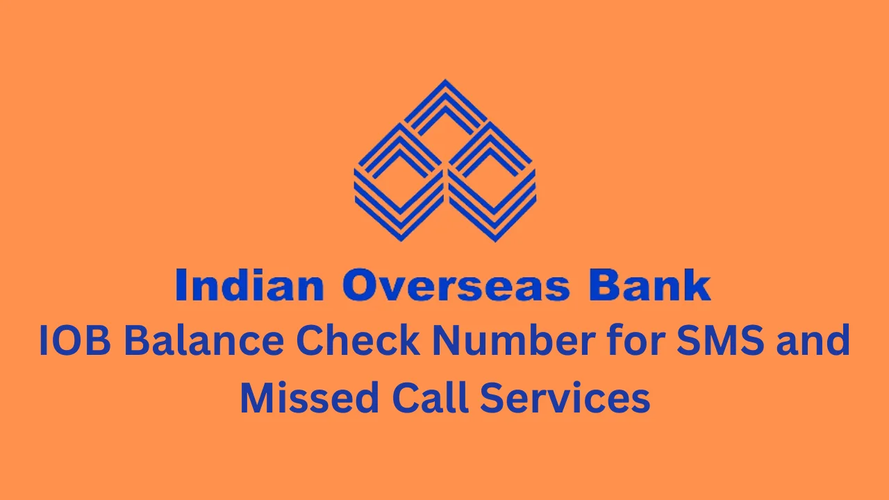 iob balance check number